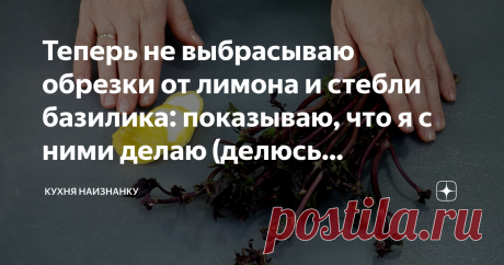 Теперь не выбрасываю обрезки от лимона и стебли базилика: показываю, что я с ними делаю (делюсь небольшой хитростью) Сейчас лето. И я часто добавляю в салаты базилик. Но для салатов обычно нужны только листья. А веточки приходится выбрасывать. Но ведь жалко: они такие ароматные!
