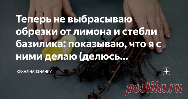 Теперь не выбрасываю обрезки от лимона и стебли базилика: показываю, что я с ними делаю (делюсь небольшой хитростью) Сейчас лето. И я часто добавляю в салаты базилик. Но для салатов обычно нужны только листья. А веточки приходится выбрасывать. Но ведь жалко: они такие ароматные!