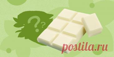 Из чего делают белый шоколад — Лайфхакер