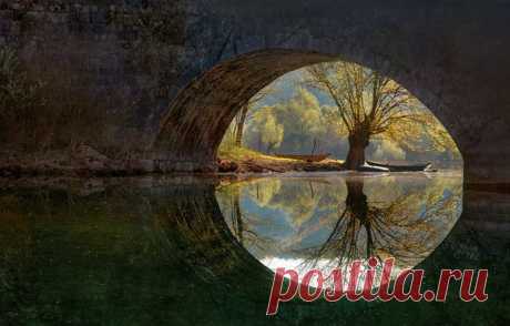 Зеркало Скадарского озера. Риека Црноевич, Черногория. Автор фото – Анастасия Колесникова: nat-geo.ru/photo/user/50255/