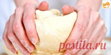 Рецепты самого вкусного теста. Обязательно поделитесь с друзьями!

1. Кефирное тесто с сыром
Ингредиенты:
- 1 чашка кефира
- 1 чашка тертого сыра
- 0,5 чайной ложки соли
- 2/3 чайной ложки соды
- 1 чайная ложка сахара
- 2 стакана муки
Если Вы натрете сыр на крупной терке, то получатся отличные лепешки и сосиски в тесте, а если на мелкой — получится хорошее тесто для другой мелкой выпечки, например рогаликов и т.д.

2. Пресное тесто на сметане
Ингредиенты:
- 1 стакан сметан...