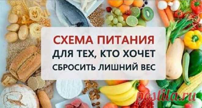 Правильная схема питания для тех, кто действительно хочет сбросить вес Просто придерживайтесь этого прекрасного, сытного, здорового рациона!
