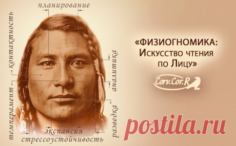 Физиогномика лица в картинках (26 фото) ⭐ Забавник