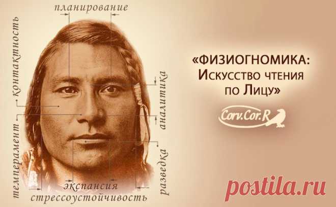 Физиогномика лица в картинках (26 фото) ⭐ Забавник