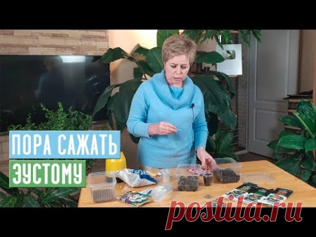 ЭУСТОМА ВЗОЙДЕТ 100% ЕСЛИ БУДЕТЕ СЛЕДОВАТЬ ИНСТРУКЦИИ / Садовый гид