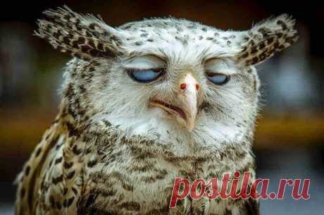 — Как прошел твой день?
— Ощущение, что он прошел по мне