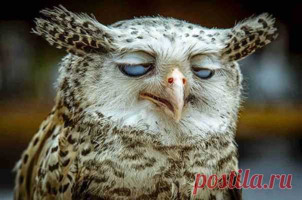 — Как прошел твой день?
— Ощущение, что он прошел по мне