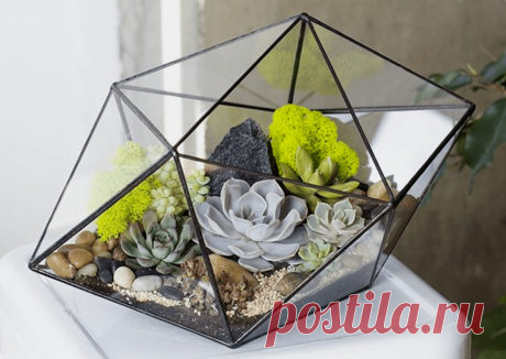 Флорариумы: виды, описание, идеи оформления ~ Planetalsad