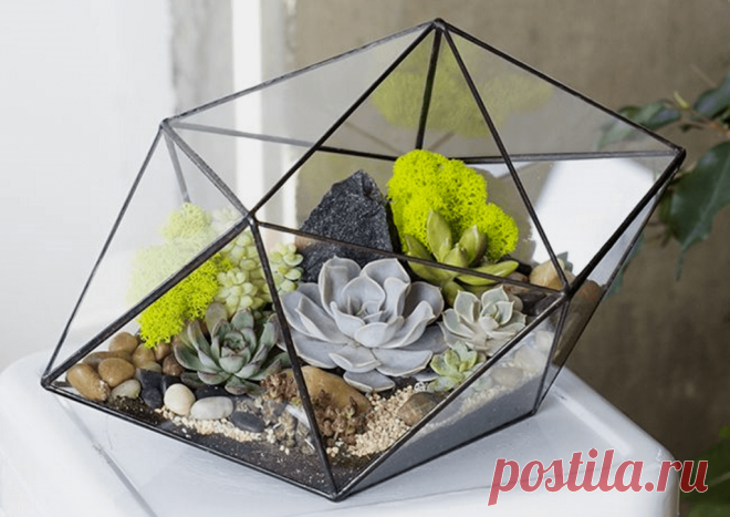 Флорариумы: виды, описание, идеи оформления ~ Planetalsad