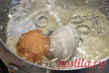 Учитель физики показал, как почистить яйцо от скорлупы ровно за 2 секунды. Почему нас в школе не учили таким нужным вещам? | Стеклянная сказка | Яндекс Дзен