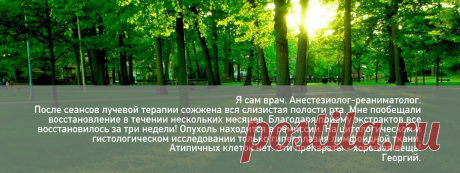 Лечение онкологии. Профилактика онкологии. - TRAMETA