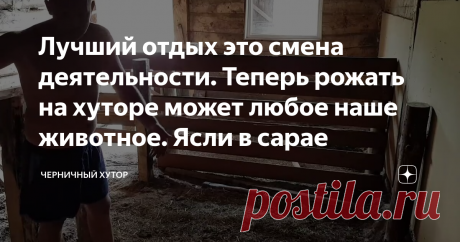 Лучший отдых это смена деятельности. Теперь рожать на хуторе может любое наше животное. Ясли в сарае