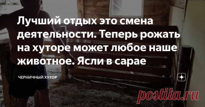Лучший отдых это смена деятельности. Теперь рожать на хуторе может любое наше животное. Ясли в сарае