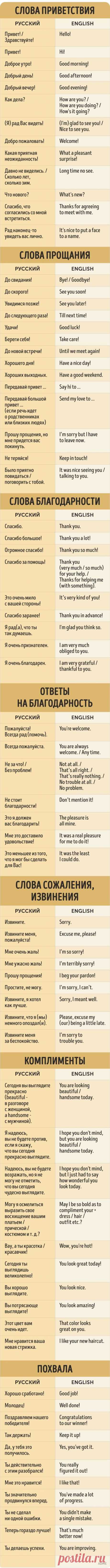 Ми подумали, що вам обов'язково сподобаються ці піни