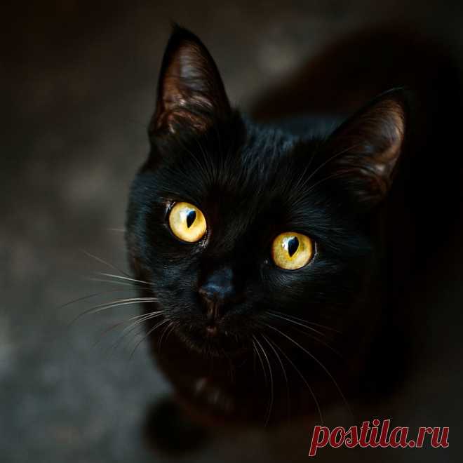 Путь к сердцу - OGADANIE.RU