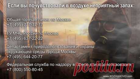 КОЖУХОВО ОНЛАЙН