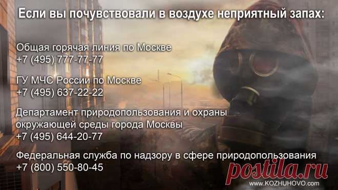 КОЖУХОВО ОНЛАЙН