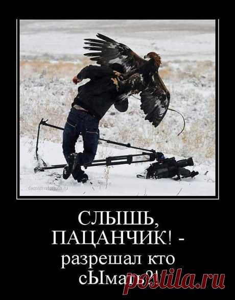 борьба с папараци