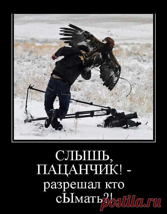борьба с папараци