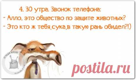 Прикольные фразочки