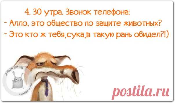 Прикольные фразочки