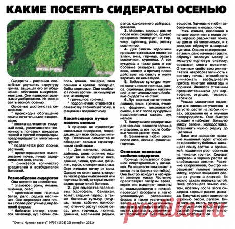Какие посеять сидераты осенью