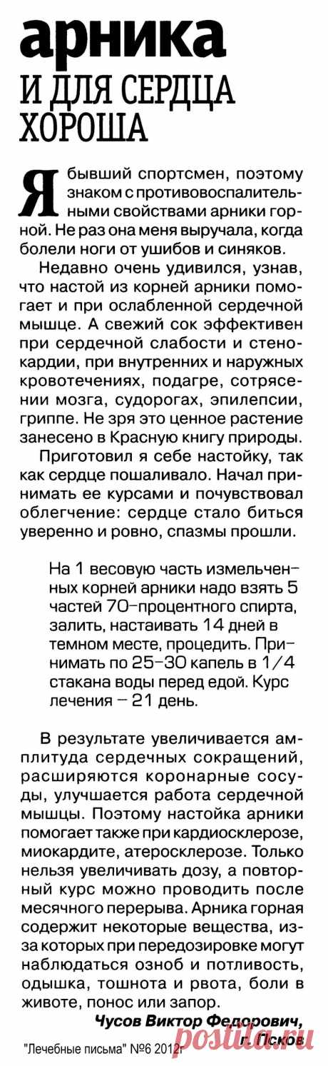 Арника и для сердца хороша