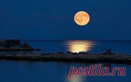 Самое интересное в мире: :)чистый кайф!:))))) - natali5357@mail.ru - Почта Mail.Ru