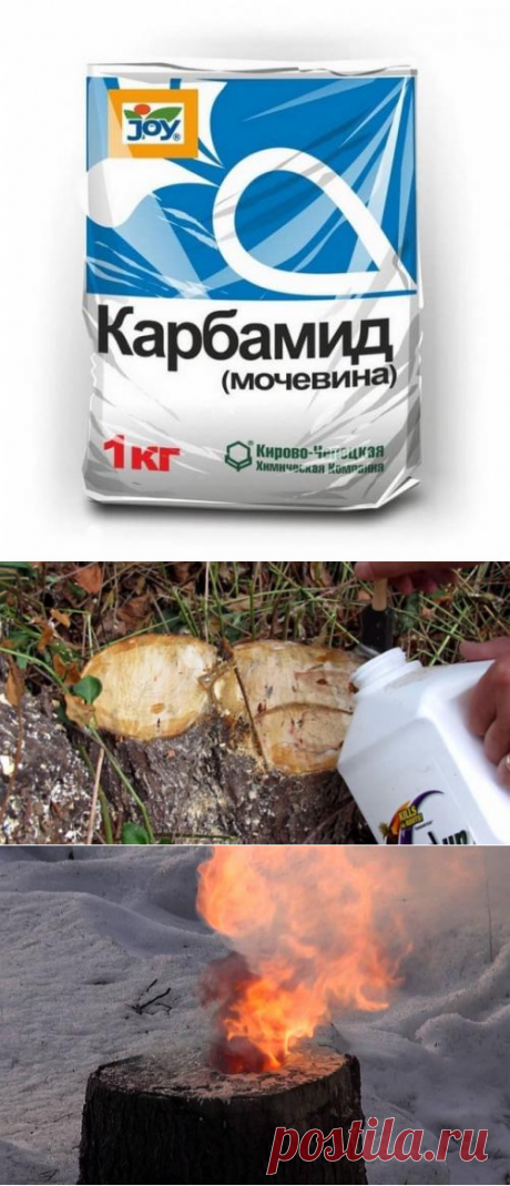 Как избавиться от пенька дерева без корчевания, применяя химические препараты