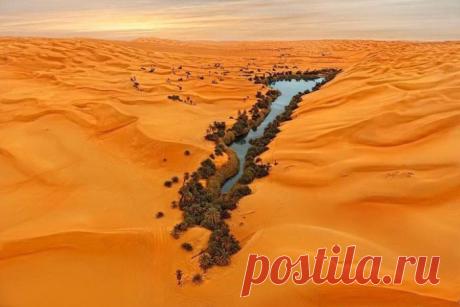 Подборка редких фотографий со всего мира