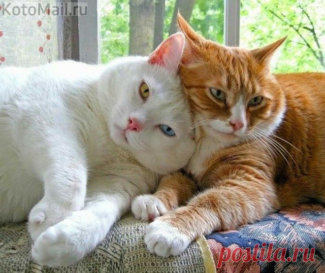 Счастье