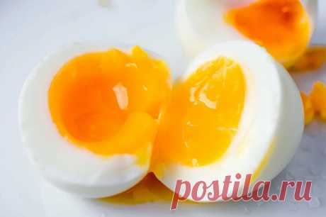 «Перестала терять вещи и забывать имена»: 5 продуктов, которые реально питают мозг и тормозят старение | RASHE - о здоровом образе жизни, красоте и счастье | Дзен