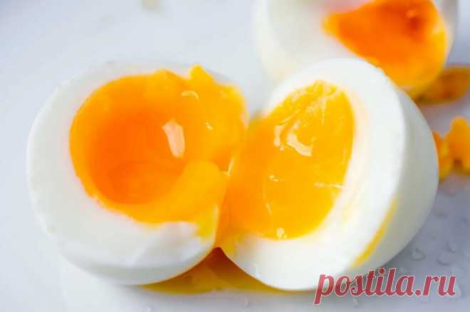 «Перестала терять вещи и забывать имена»: 5 продуктов, которые реально питают мозг и тормозят старение | RASHE - о здоровом образе жизни, красоте и счастье | Дзен