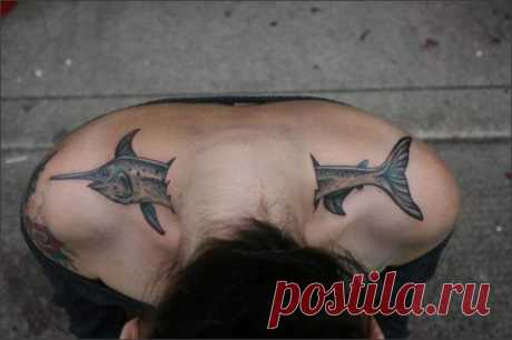 &quot;погоны рыбнадзора&quot; / Прикольные и интересные фото 9