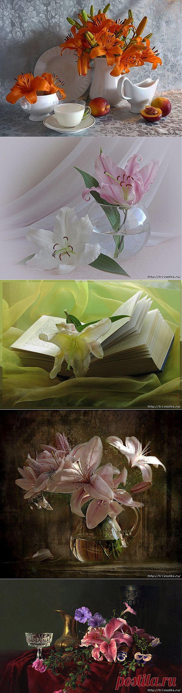 Лилии, аккорд и радости, и нежности.