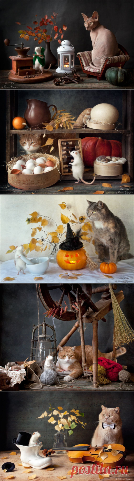 35PHOTO - Eleonora Grigorjeva - Rats'n'Cats. Накануне зимы