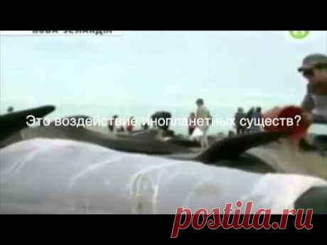 Как стать счастливым, если все вокруг гибнет?