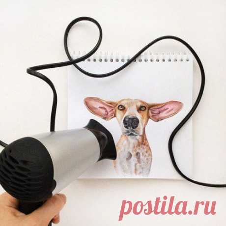 Зашкаливающий мимимизатор. Иллюстратор Valerie Susik рисует портреты собачек в стиле &quot;дополненной реальности&quot;. / Занимательная реклама