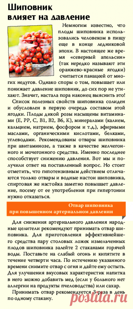 Шиповник влияет на давление | БОЛЯЧКИ: ДАВЛЕНИЕ 
| творожные десерты | причёски на короткие волосы