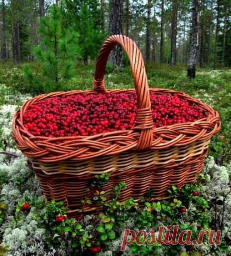 ❀Этот Удивительный Мир ❀