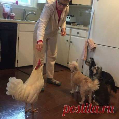 Подборка позитивных картинок! / Приколы