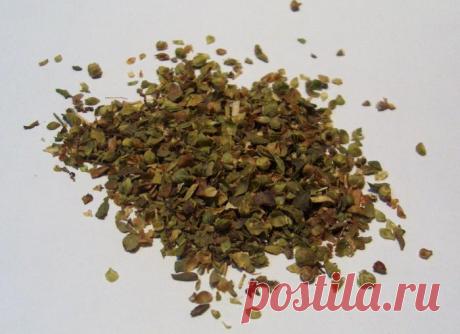 Материнка (трава): лечебные свойства, применение. Трава материнка при женских болезнях