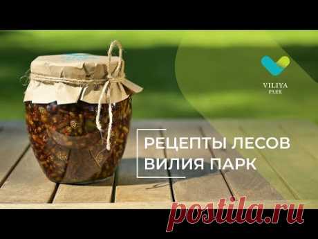 Рецепт варенья из сосновых побегов | Viliya Park