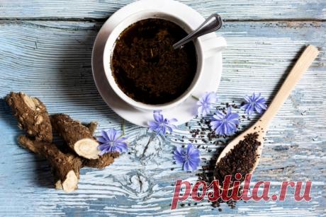 ЦИКОРИЙ: польза и вред, кому можно и нельзя пить, ПРО КОФЕ И ЧАЙ.