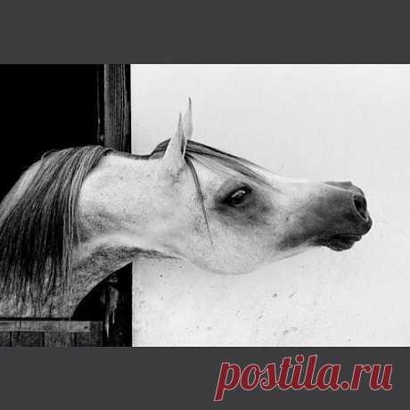 Прощай! И помни обо мне