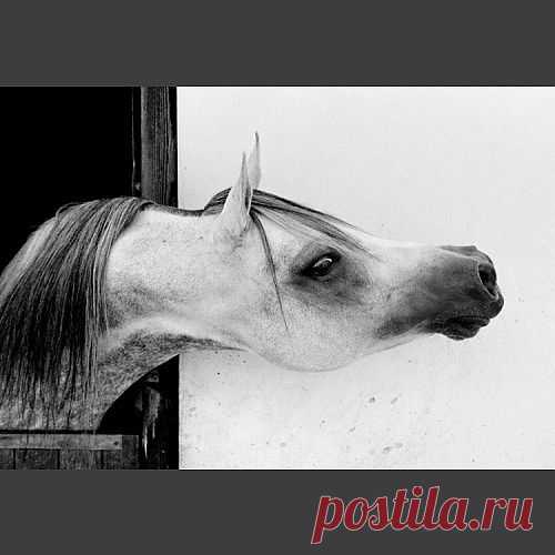 Прощай! И помни обо мне