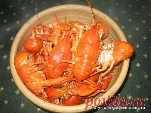 Раки в пиве • Блюда из морепродуктов