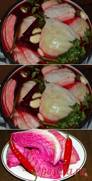 Быстрая капуста по-грузински - Лучший сайт кулинарии