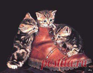 ИГРАЮ и УЧУСЬ  &raquo; Blog Archive   &raquo; Развивающая сказка &#171;Разговор в обувной мастерской&#187;