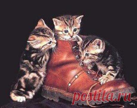 ИГРАЮ и УЧУСЬ  &amp;raquo; Blog Archive   &amp;raquo; Развивающая сказка &amp;#171;Разговор в обувной мастерской&amp;#187;